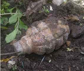 Warga Tebel Temukan Granat Saat Tanam Cabai