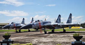 Tindakan TNI Sesuai Prosedur, RI Tak Perlu Terpancing Reaksi Keras PNG