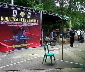 Kompetisi Ayam Laga di Gresik Digagalkan Polisi