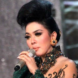Kerap Terima Komentar Pedas, Syahrini Naik Pitam