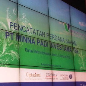 IPO Pertama 2012, Saham PADI Naik 12,6%