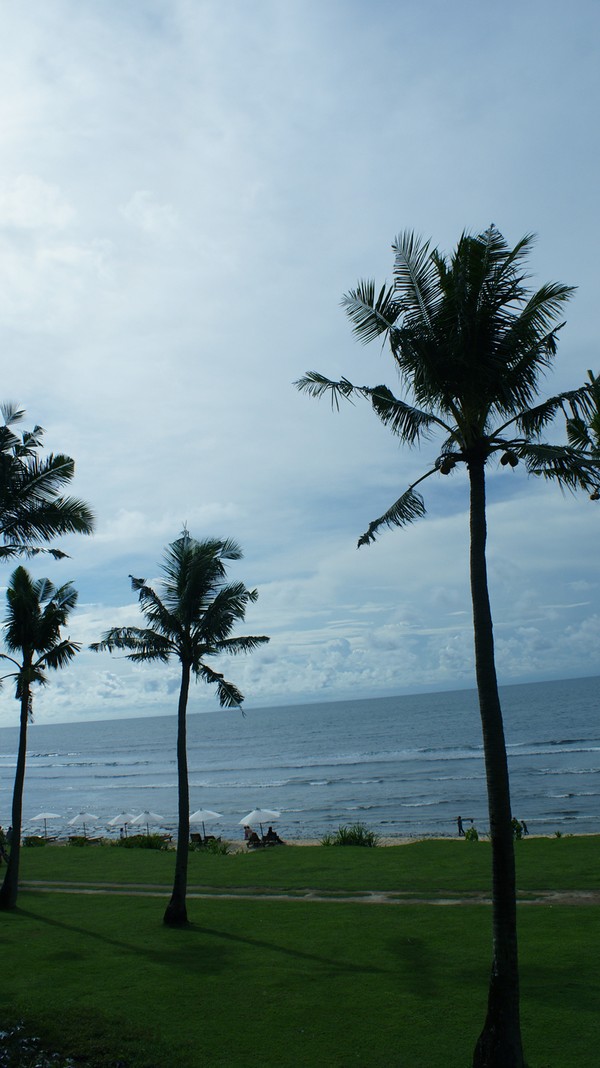 Balangan Si Pantai Kelapa Yang Tersembunyi Di Bali