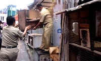 Petugas mengambil kandang unggas milik warga. Pemerintah menyatakan pengendalian dampak flu burung dilakukan secara serius.