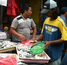 Gelombang Tinggi, Harga Ikan Laut Melonjak