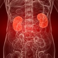 Ginjal Baru Terasa Sakit Bila Fungsinya Tinggal 15 Persen