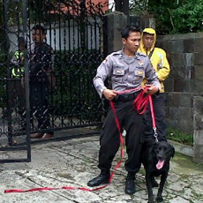Polisi Kerahkan Anjing Pelacak di Rumah Konsulat Perancis