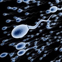 Sering Ejakulasi Baik untuk Kualitas Sperma