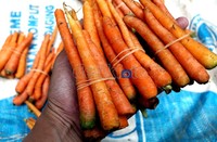 Wortel yang diambil dari Pasar Induk Kramatjati ini dijual Rp 2.000/ikat untuk memberi makan rusa.