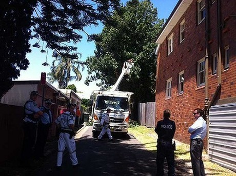 Hiiii... Mayat Wanita Ditemukan di Atas Pohon!