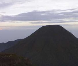 Mencari Mentari Pagi di Gunung Gede Pangrango