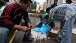 Petani Bawa Bom Tabung Gas, Polisi Kalah