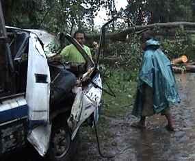 Kediri Disapu Puting Beliung, Satu Orang Tewas Tertimpa Pohon