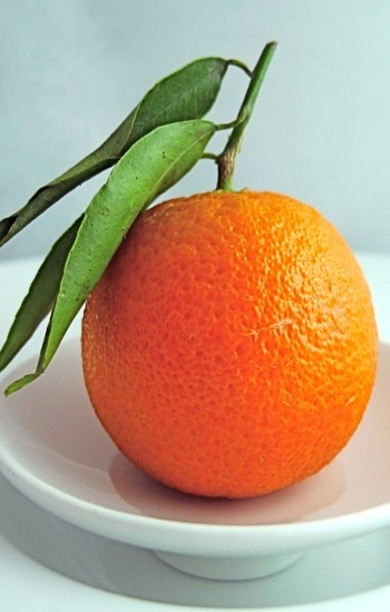 Jeruk, si Manis Segar Pembawa Rejeki