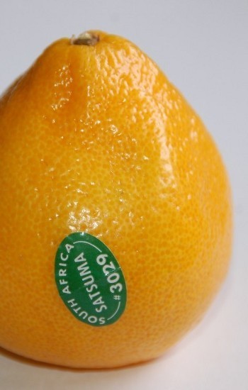 Jeruk, si Manis Segar Pembawa Rejeki