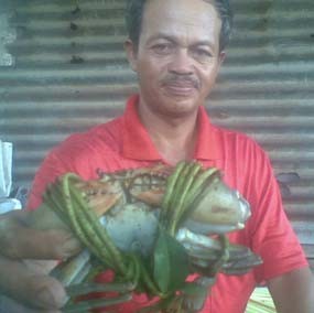 Jelang Imlek, Para Pengepul Kepiting Ketiban Rezeki