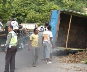 Telat Turunkan Gigi Persneling, Truk Muat 14 Ekor Sapi Terguling