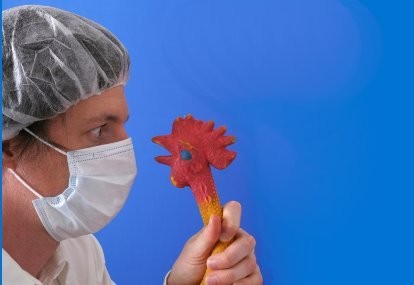 Warga Kabupaten Tangerang Suspect Flu Burung