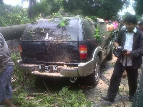  Korban Pohon Tumbang di Dharmawangsa: 1 Orang Tewas, 5 Luka