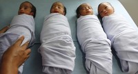Bayi ini merupakan buah hati pasangan Jon Pieter Manik (38) dan Sonta Ria Br Nababan (39) setelah sebelumnya pasangan tersebut menjalani program inseminasi. Reuters/Roni Bintang.