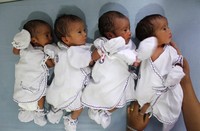Bayi kembar tersebut terdiri dari 3 perempuan dan satu laki-laki. Reuters/Roni Bintang.