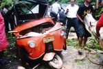 Tertimpa Pohon Sopir Bajaj Tewas