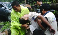 Bajaj yang kebetulan melintas tidak luput dari terjangan pohon tumbang yang menewaskan sang sopir. Ramses/detikcom