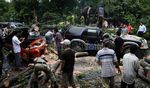 Tertimpa Pohon Sopir Bajaj Tewas