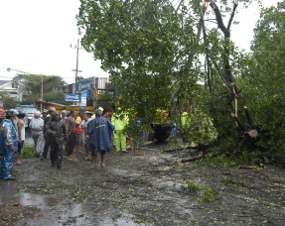 Puting Beliung Terjang 6 Kecamatan di Situbondo