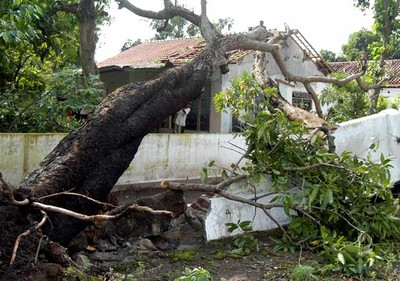 481 Rumah Rusak Diterjang Puting Beliung