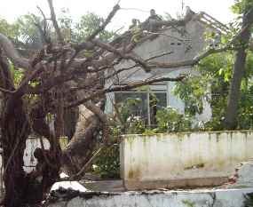 Terjang 10 Kecamatan, Puting Beliung Rusak 481 Rumah di Situbondo