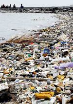 Ampun...Pantai Jakarta Penuh Sampah