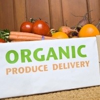 7 Alasan Kenapa Memilih Makanan Organik