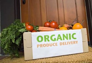 7 Alasan Kenapa Memilih Makanan Organik