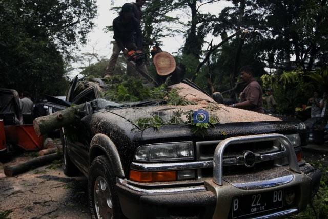 Brak! Hendak Kuliah, Mobil Mahasiswi Trisakti Tertimpa Pohon