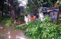 Kini pohon yang tumbang sekitar pukul 10.00 WIB tersebut telah dievakuasi ke pinggir jalan.