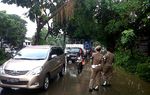 Pohon Tumbang Timpa Honda Jazz