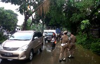 Pohon tumbang ini mengakibatkan kemacetan panjang di Jalan Tentara Pelajar, Kebayoran Lama, Jakarta Selatan.