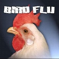 Wanita Muda Tewas Akibat Flu Burung di Vietnam