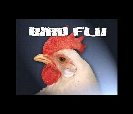 Wanita Muda Tewas Akibat Flu Burung di Vietnam