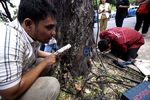 Hindari Jatuh Korban, Pohon Tua Diperiksa