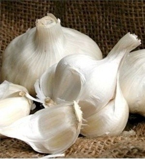  Agar Tidak Mudah Terserang Flu, Makanlah Makanan Ini!
