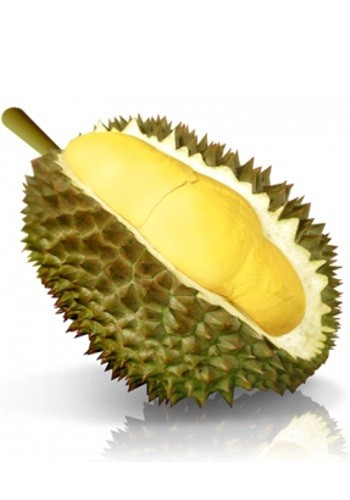 Acquired Taste, Banyak Dicinta Juga Banyak Dibenci