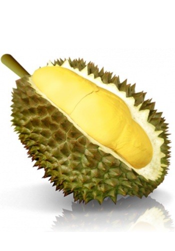 Pohon Durian Kartun