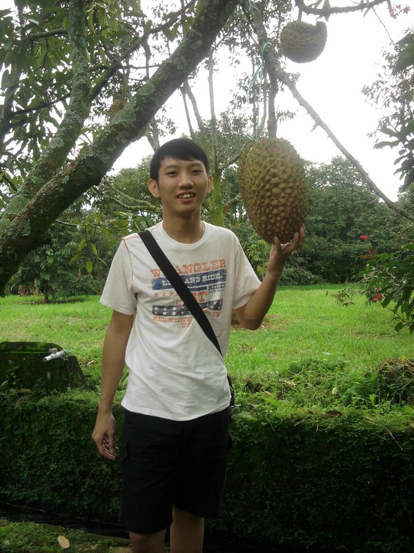 Download 99+ Gambar Durian Raksasa Terbaik 