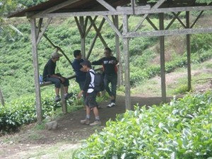 berburu elang hitam