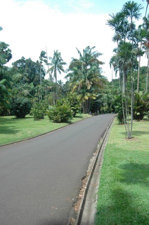Wisata Alam, Religi, dan Kuliner di Bogor