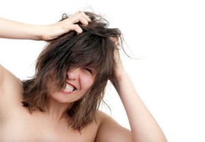 Kutu Kepala Suka Rambut yang Bersih