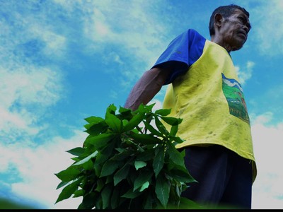 Cihuii, Petani Dapat Pinjaman Rp 368,1 M