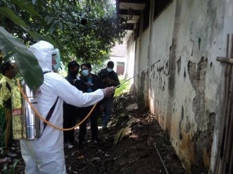 Basmi Ribuan Ulat Bulu, Sekolah di Semarang Disemprot