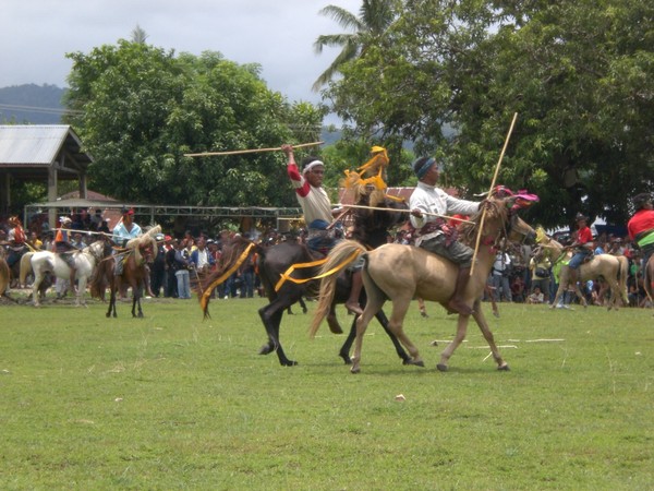 Serunya Perang Kuda Di Festival Pasola